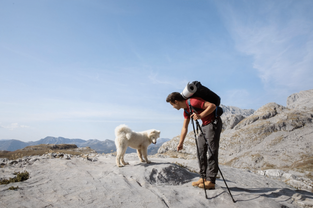 Dog-friendly hiking trails Canada